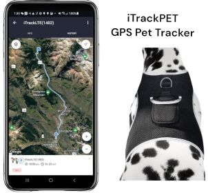 GPS Locator for Dogs with Perimeter Fence Realtime Pet Tracking System Size:XXL