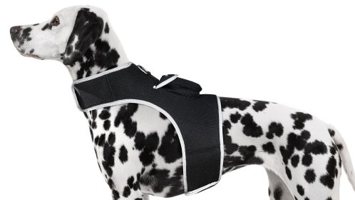 Mini Waterproof GPS Tracker for Dog Collar w/ Perimeter Fencing System Size:XXL