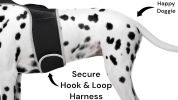 GPS Locator for Dogs with Perimeter Fence Realtime Pet Tracking System Size:XXL