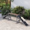 PawHut Dog Agility Equipment Ramp with Safety Bar, Non-slip Surface, for Walk and Pause Training, Gray